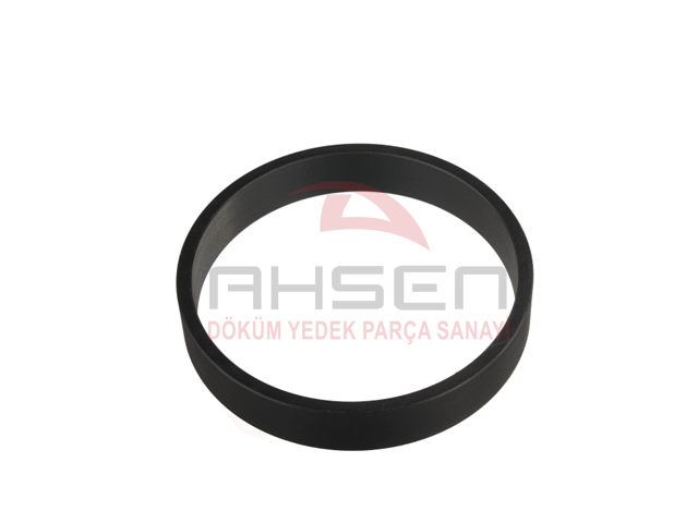 GUIDE RING DN200-80794006-AHS 2081