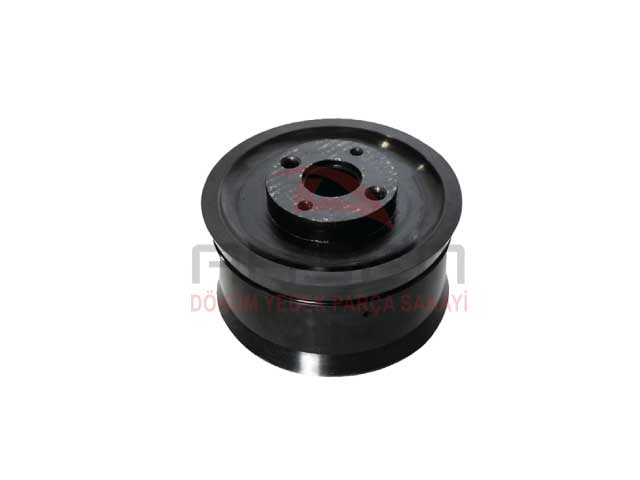 PISTON RAM DN230-1016135-AHS 3054